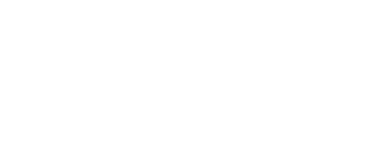 CHEVROLET - DRSUL