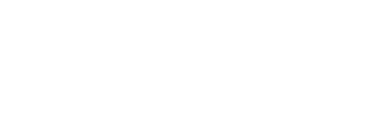 NISSAN - DRSUL