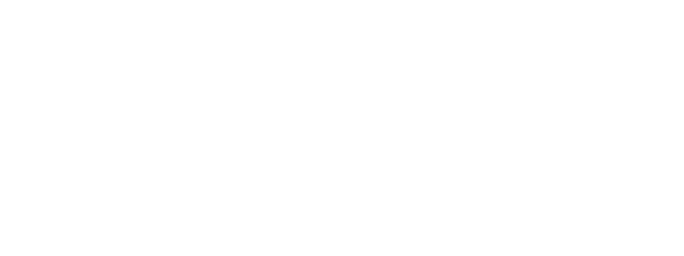 RENAULT - DRSUL