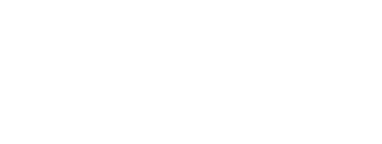 VOLKS - GUAIABACAR